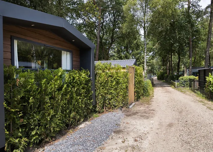 Veluwe Hoenderloo Luxury Chalet With Private Sauna And Hot Tub - Swimming Pool Tennis Court Supermarket Bowling Alley Theatre And Entertainment For Children