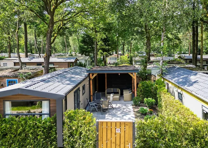 Veluwe Hoenderloo Luxury Chalet With Private Sauna And Hot Tub - Swimming Pool Tennis Court Supermarket Bowling Alley Theatre And Entertainment For Children