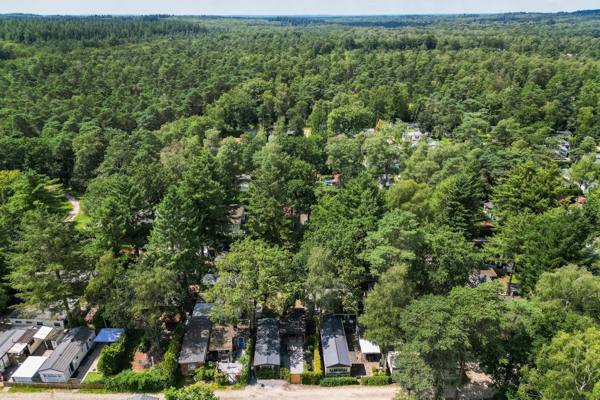 Veluwe Luxury With Private Sauna And Hot Tub - Swimming Pool Tennis Court Supermarket Bowling Alley Theatre And Entertainment For Children Hoenderloo