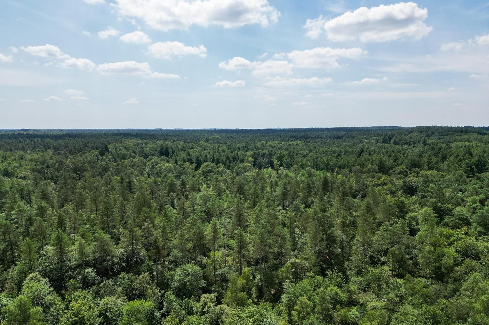 Apartamento Veluwe Luxury With Private Sauna And Hot Tub - Swimming Pool Tennis Court Supermarket Bowling Alley Theatre And Entertainment For Children