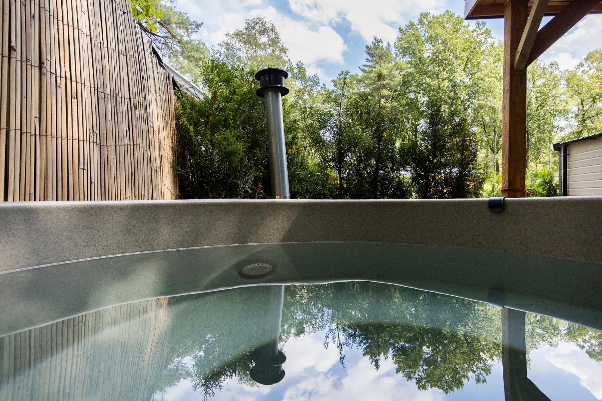 Veluwe Luxury With Private Sauna And Hot Tub - Swimming Pool Tennis Court Supermarket Bowling Alley Theatre And Entertainment For Children Hoenderloo
